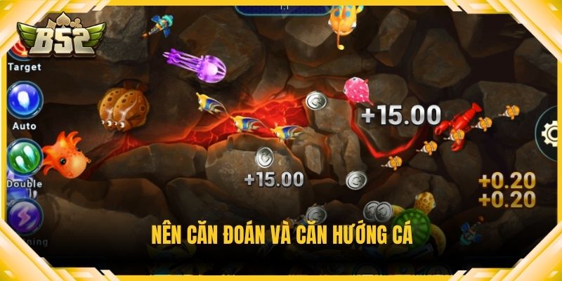 Nên căn đoán và căn hướng cá