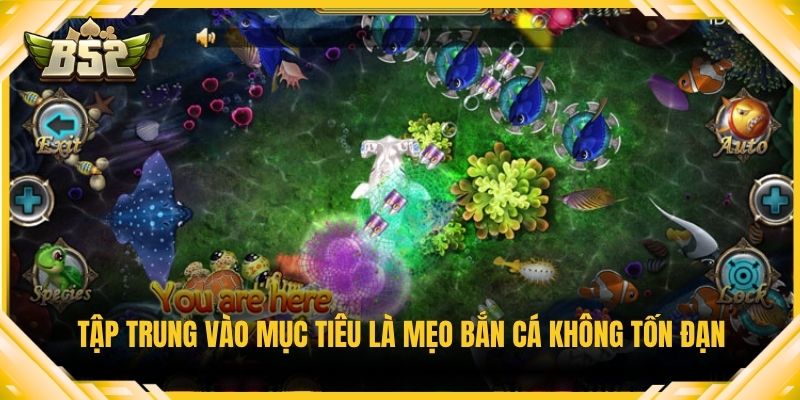Tập trung vào mục tiêu là mẹo bắn cá không tốn đạn