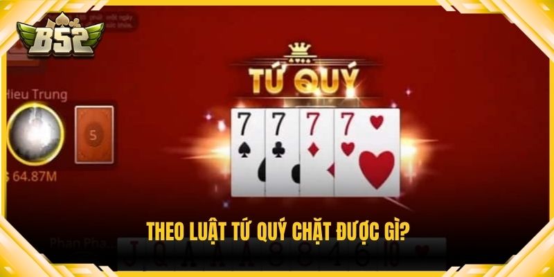 Theo luật tứ quý chặt được gì?